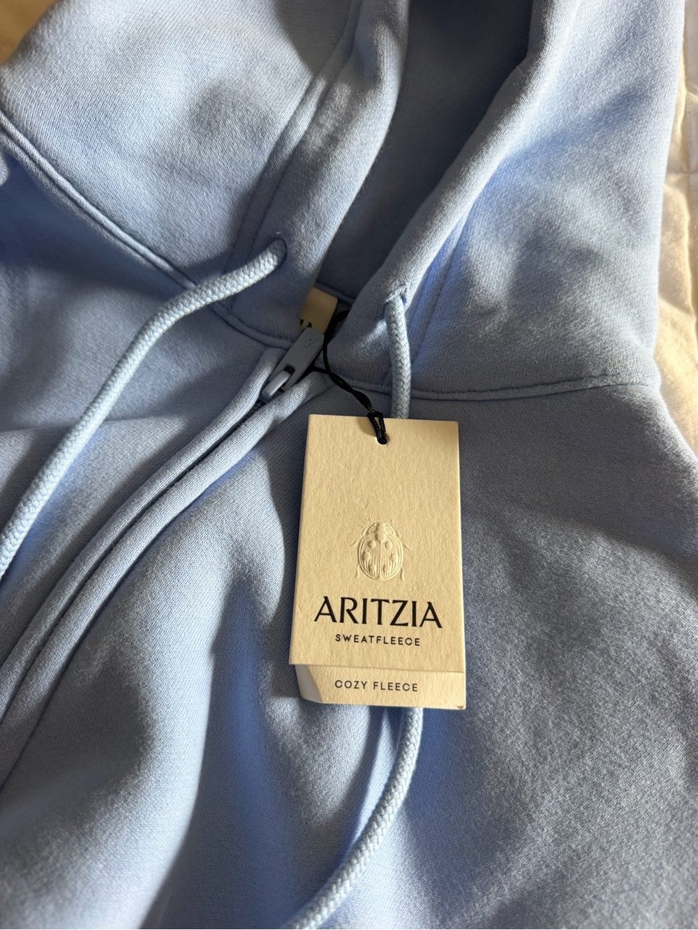 Aritzia Pastel Blue Cozy Fleece Zip Hoodie